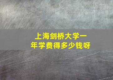 上海剑桥大学一年学费得多少钱呀