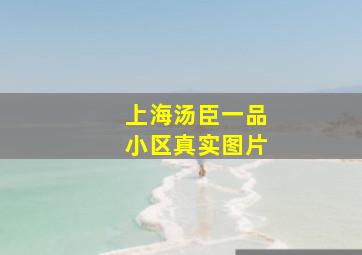 上海汤臣一品小区真实图片