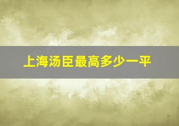 上海汤臣最高多少一平