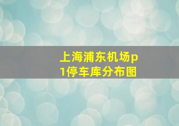 上海浦东机场p1停车库分布图