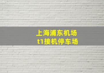 上海浦东机场t1接机停车场