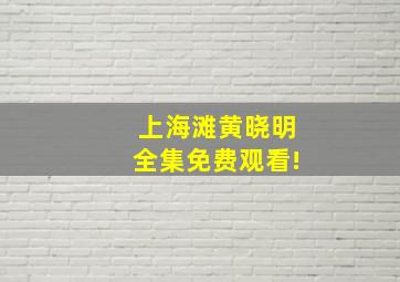 上海滩黄晓明全集免费观看!