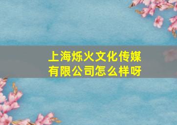 上海烁火文化传媒有限公司怎么样呀