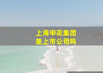 上海申花集团是上市公司吗