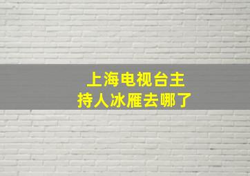 上海电视台主持人冰雁去哪了