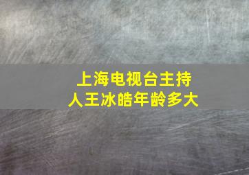 上海电视台主持人王冰皓年龄多大