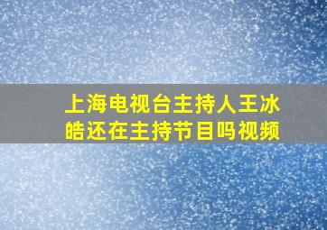 上海电视台主持人王冰皓还在主持节目吗视频