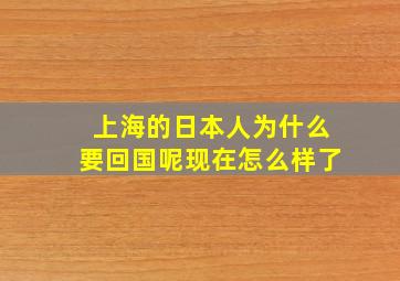 上海的日本人为什么要回国呢现在怎么样了