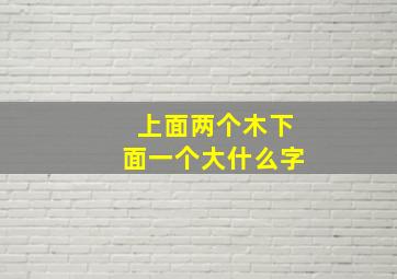 上面两个木下面一个大什么字