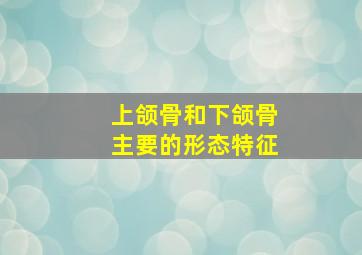 上颌骨和下颌骨主要的形态特征