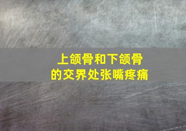 上颌骨和下颌骨的交界处张嘴疼痛