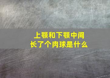 上颚和下颚中间长了个肉球是什么