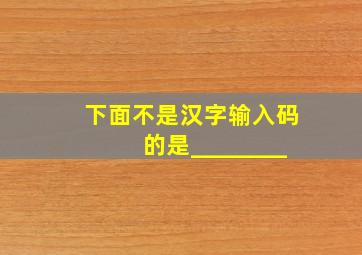 下面不是汉字输入码的是________