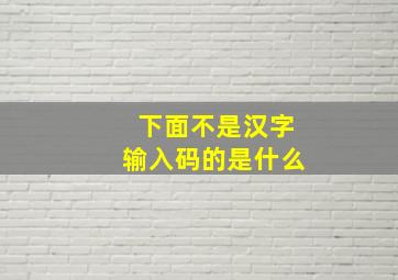 下面不是汉字输入码的是什么