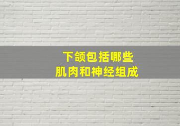 下颌包括哪些肌肉和神经组成