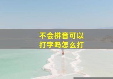 不会拼音可以打字吗怎么打