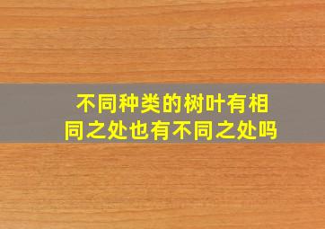 不同种类的树叶有相同之处也有不同之处吗