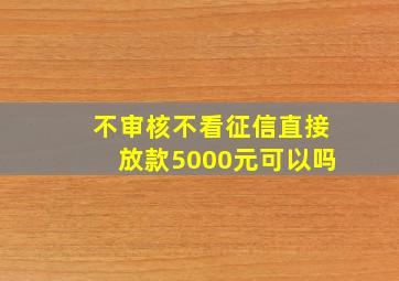 不审核不看征信直接放款5000元可以吗