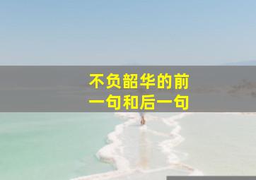 不负韶华的前一句和后一句