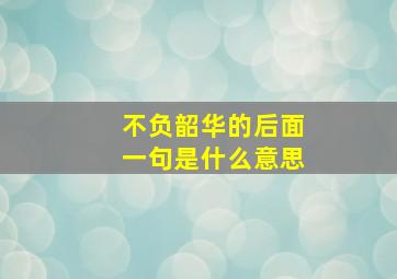 不负韶华的后面一句是什么意思