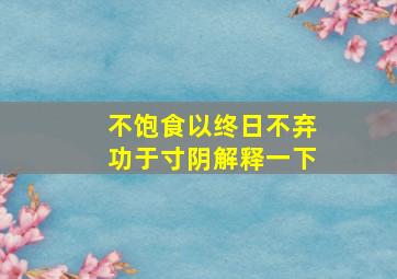 不饱食以终日不弃功于寸阴解释一下