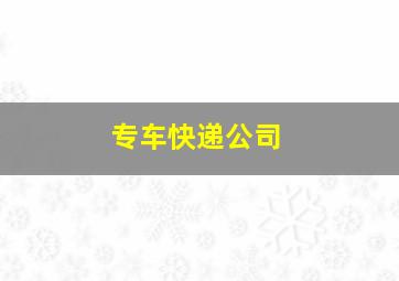 专车快递公司