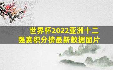 世界杯2022亚洲十二强赛积分榜最新数据图片