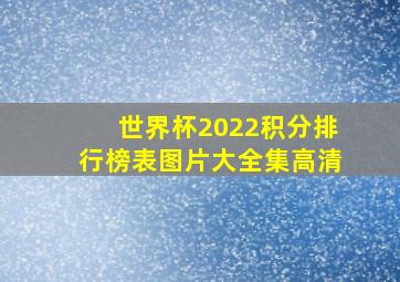 世界杯2022积分排行榜表图片大全集高清