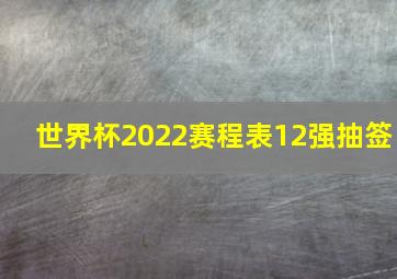 世界杯2022赛程表12强抽签