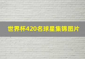 世界杯420名球星集锦图片