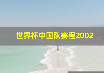 世界杯中国队赛程2002