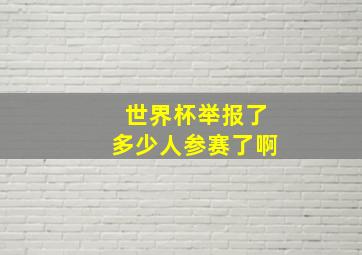 世界杯举报了多少人参赛了啊