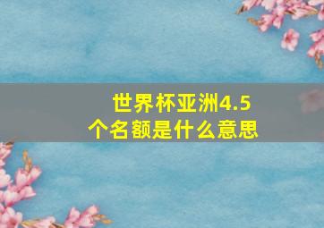 世界杯亚洲4.5个名额是什么意思