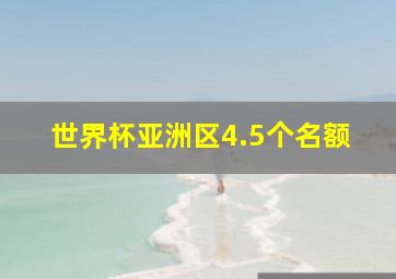 世界杯亚洲区4.5个名额