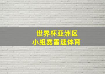 世界杯亚洲区小组赛雷速体育