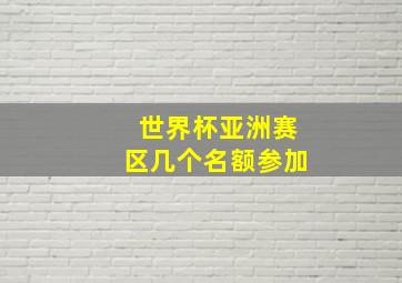 世界杯亚洲赛区几个名额参加