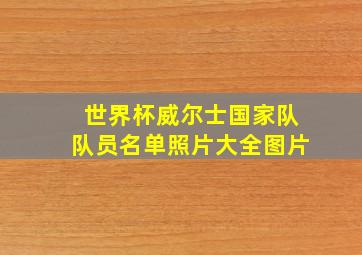 世界杯威尔士国家队队员名单照片大全图片