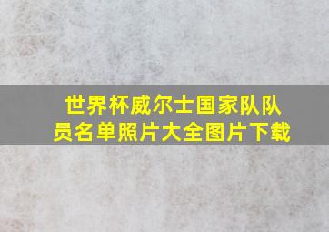 世界杯威尔士国家队队员名单照片大全图片下载