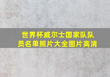 世界杯威尔士国家队队员名单照片大全图片高清