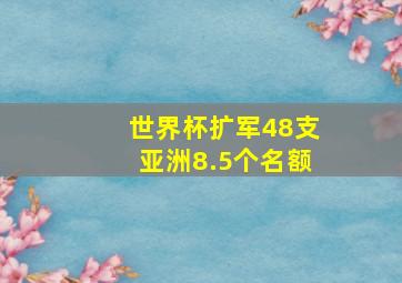 世界杯扩军48支亚洲8.5个名额