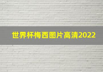 世界杯梅西图片高清2022