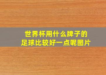 世界杯用什么牌子的足球比较好一点呢图片