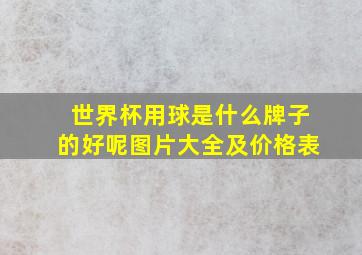 世界杯用球是什么牌子的好呢图片大全及价格表