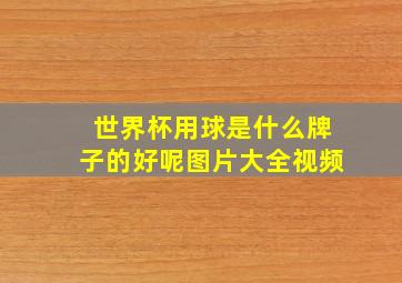 世界杯用球是什么牌子的好呢图片大全视频