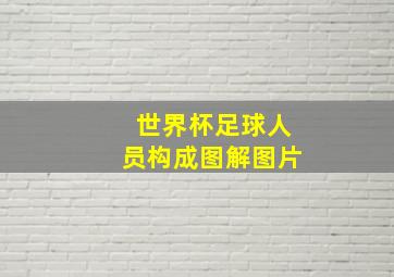 世界杯足球人员构成图解图片