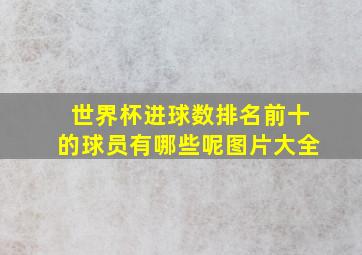 世界杯进球数排名前十的球员有哪些呢图片大全