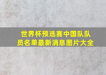 世界杯预选赛中国队队员名单最新消息图片大全