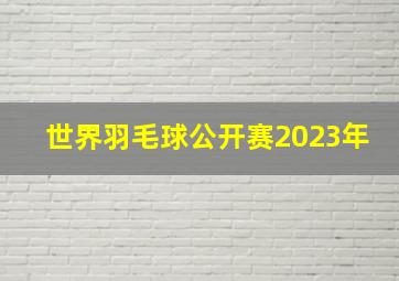 世界羽毛球公开赛2023年