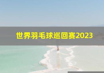 世界羽毛球巡回赛2023