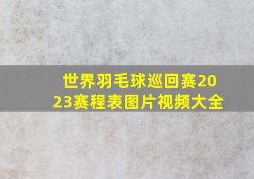 世界羽毛球巡回赛2023赛程表图片视频大全